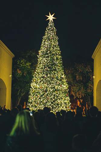 horizon christian fellowship people watching lighted green Christmas tree at nighttime rancho santa fe
